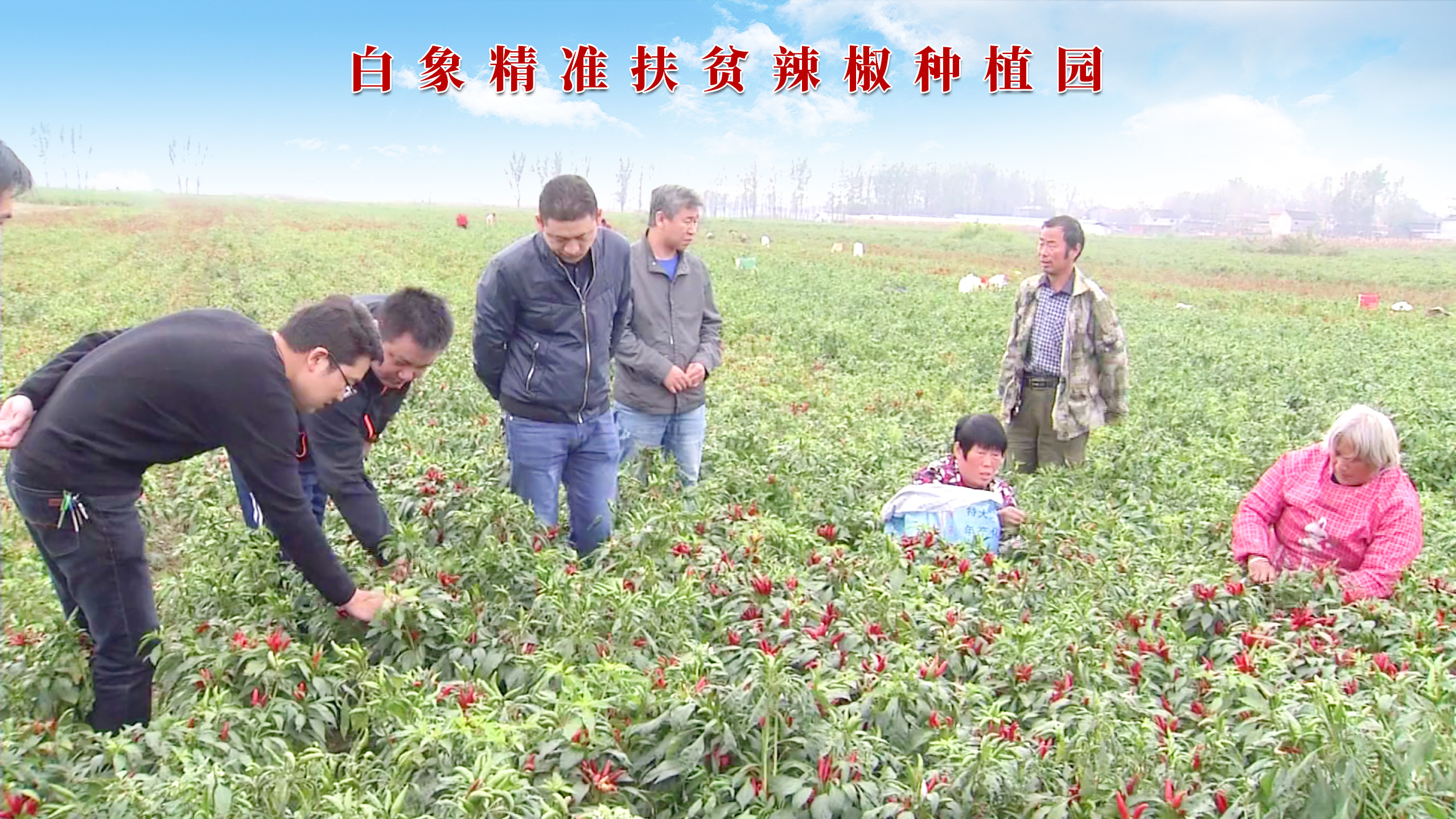 白象食品给扶贫地“下订单”