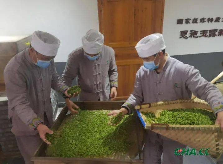 首批“ 恩施玉露”茶上市 茶企闻讯抢订尝鲜