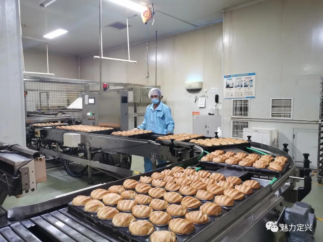 引进龙头，定兴打造中国休闲食品之都