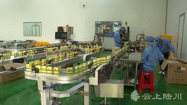 王老吉饮料落户陆川,总投资5亿元