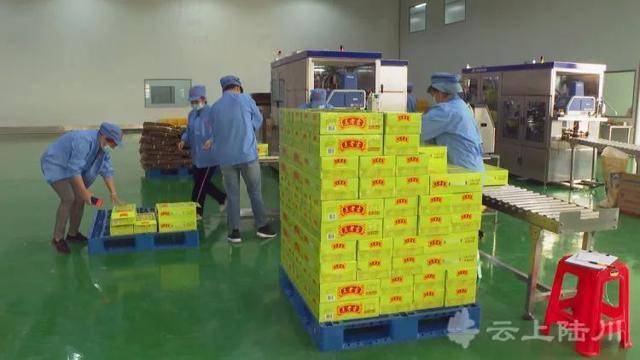 王老吉饮料落户陆川,总投资5亿元