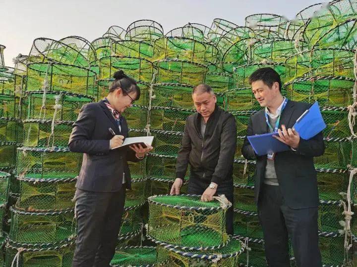 浙江农信:书写乡村振兴壮丽画卷