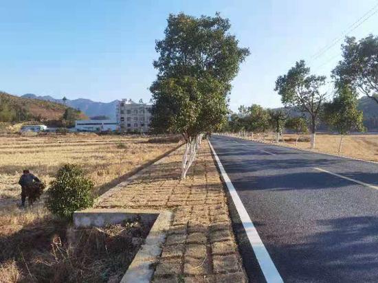 台州:让“四好农村路”成为乡村振兴大通道