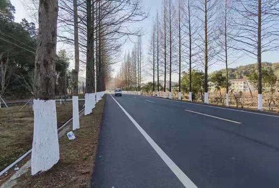 台州:让“四好农村路”成为乡村振兴大通道