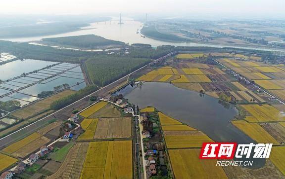 83个项目!湖南粮油千亿产业工程专项资金项目入围名单来了