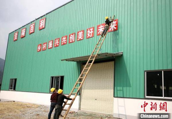 螺蛳粉火爆带热原料需求,米粉厂开到山村助力乡村振兴