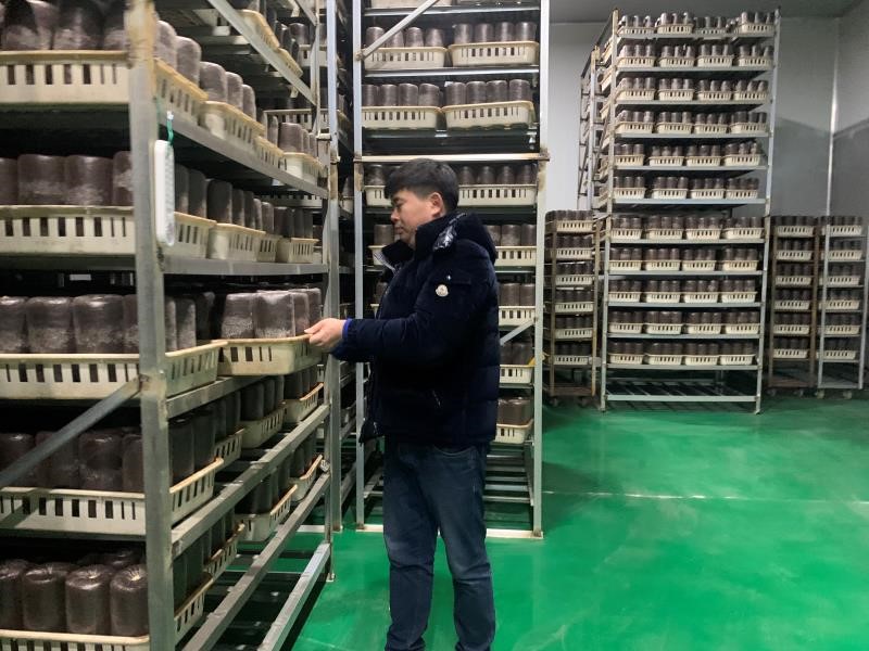 黑龙江双鸭山市宝山区:食用菌产业项目 引领农民奔富路
