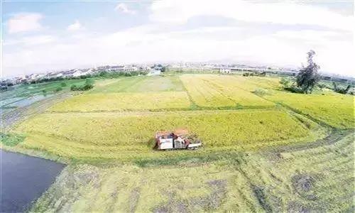 农资经销商打造渠道品牌是大势所趋!
