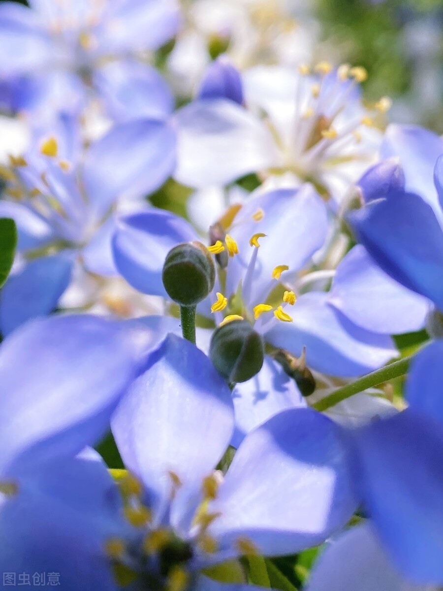 波兰乡村振兴:重拾“小家园”