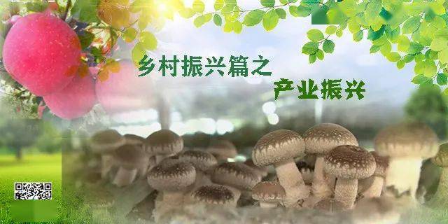 郑家镇:大力发展大棚食用菌产业 助力乡村