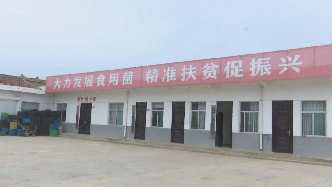 郑家镇:大力发展大棚食用菌产业 助力乡村