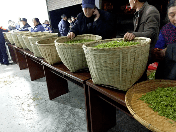 推动茶业新零售业态变革，超级社区助力茶企突围发展