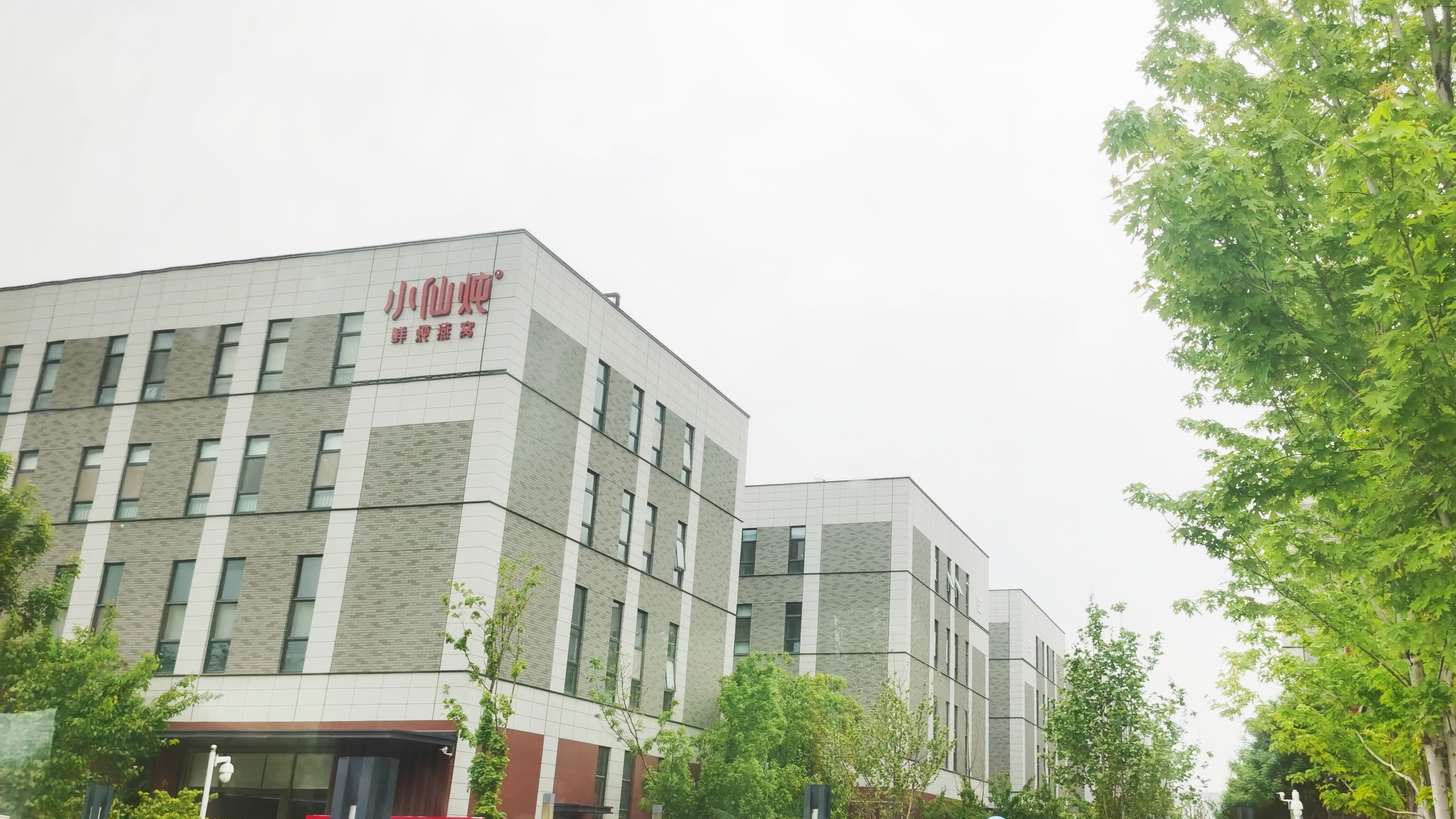 小仙炖加速全国布局,在上海投资建厂