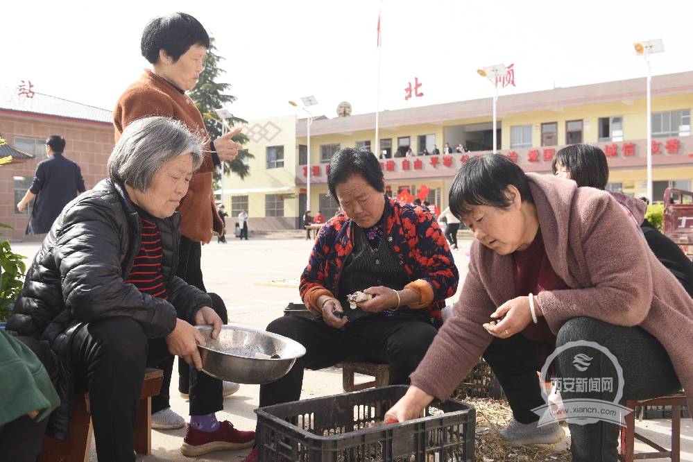 小小食用菌带动农村妇女就业