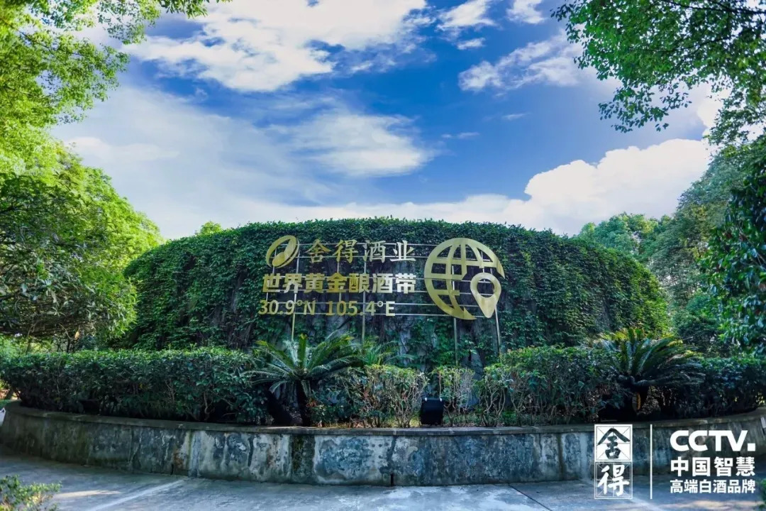舍得酒业去年营收净利同比稳健增长，已提出申请摘帽