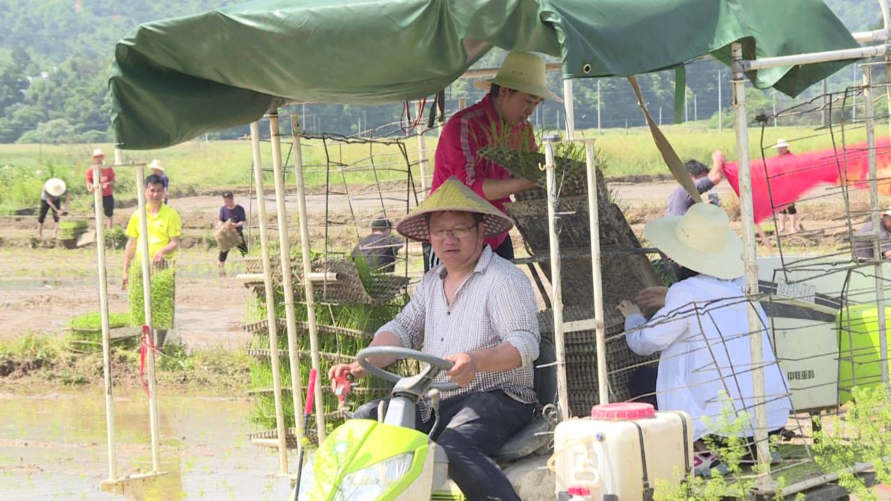 衡阳市衡东县：农技专家田间地头服务三农