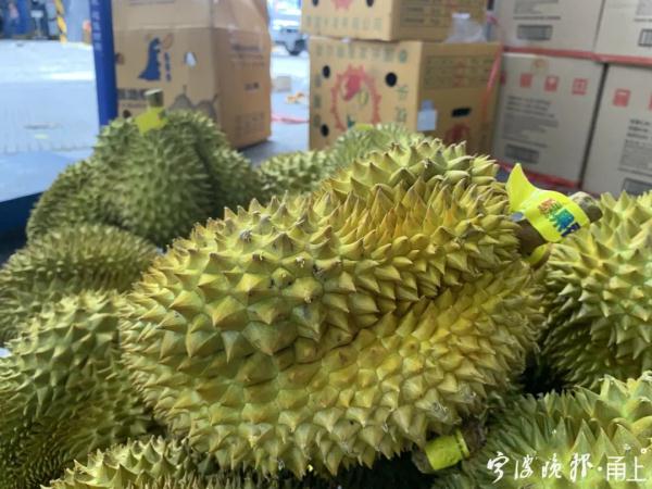 5个1440元?!浙江人爱吃的这种水果大量上市!但要当心 5个1440元?!浙江人爱吃的这种水果大量上市!但要当心
