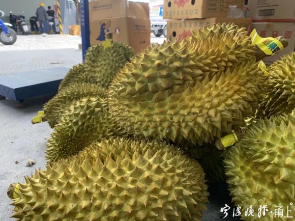 5个1440元?!浙江人爱吃的这种水果大量上市!但要当心 5个1440元?!浙江人爱吃的这种水果大量上市!但要当心