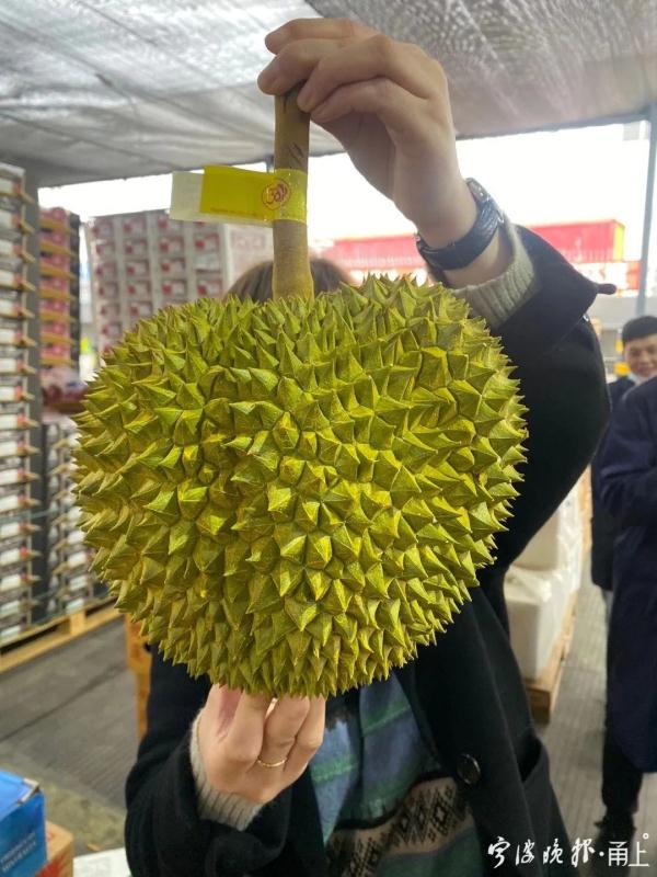 5个1440元?!浙江人爱吃的这种水果大量上市!但要当心 5个1440元?!浙江人爱吃的这种水果大量上市!但要当心