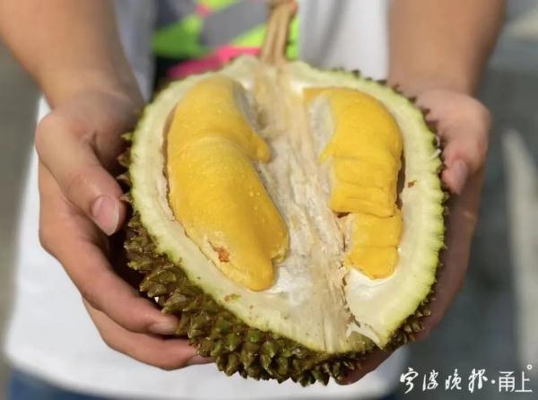 5个1440元?!浙江人爱吃的这种水果大量上市!但要当心 5个1440元?!浙江人爱吃的这种水果大量上市!但要当心