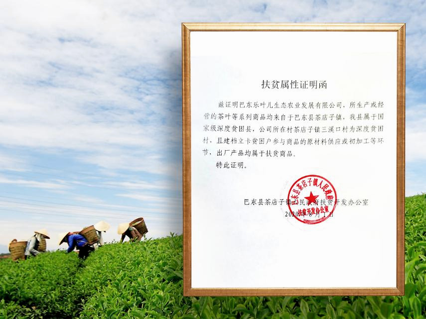 愚公坊资金补贴 帮农致富助推乡村富硒好茶