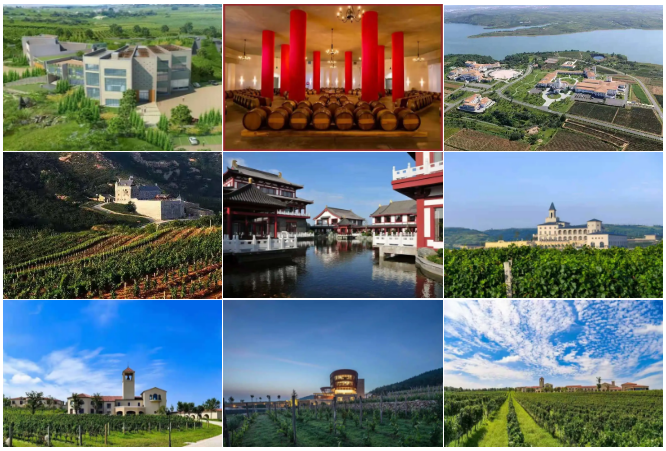 2021烟台产区巡展,携仙境佳酿深入中国酒业市场