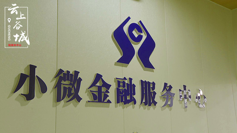创新的金融服务,帮助“三农”经济发展。