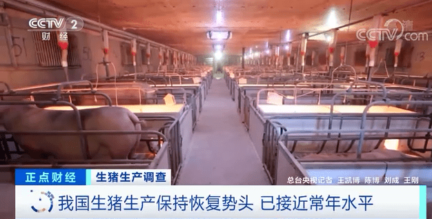 猪肉价格连降15周!