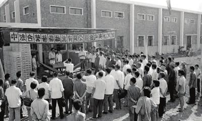 王朝葡萄酒:敢为天下先