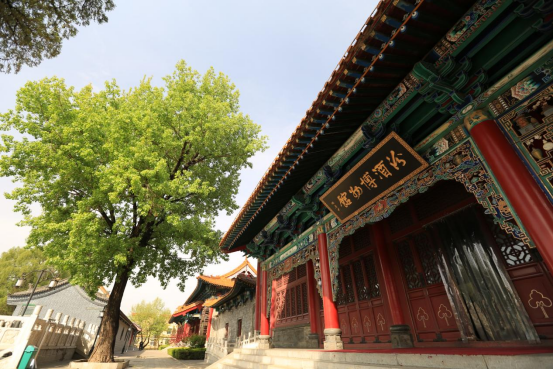 为什么说汾酒见证了中华文明的“恢复与重塑”?