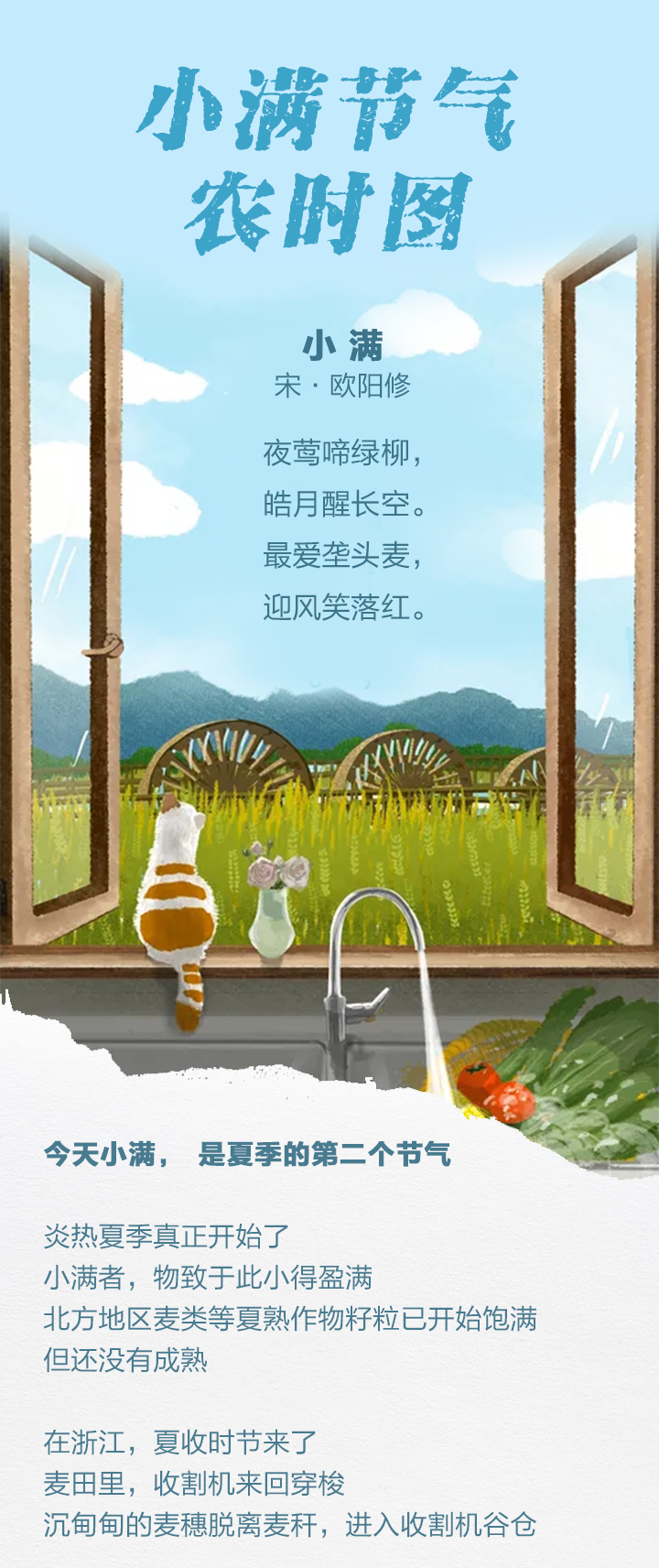 浙江新农时图·小满丨 一口初夏的甜蜜 这些热带水果竟在嘉善扎根