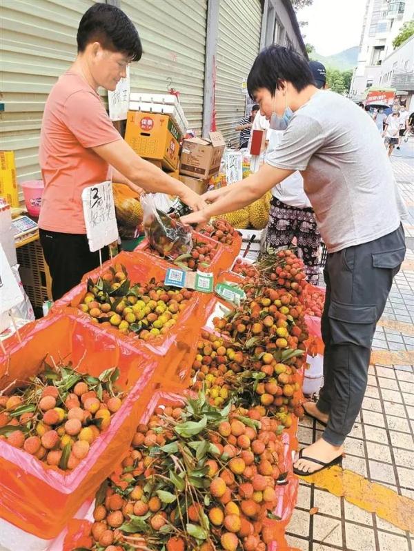 南山荔枝成“深圳手信”，未上市已被预订一空