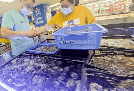 沿海进入休渔期!江城小海鲜身价微涨,吃冻品更划算