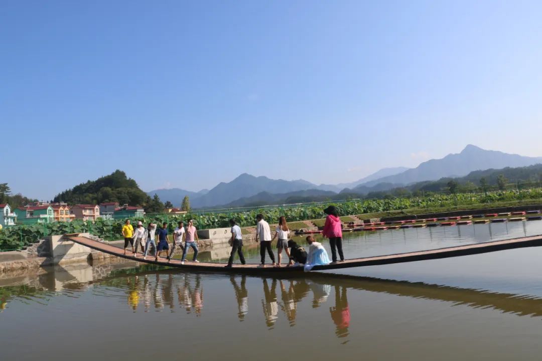 武宁县澧溪镇：文农旅融合迎来发展好势头