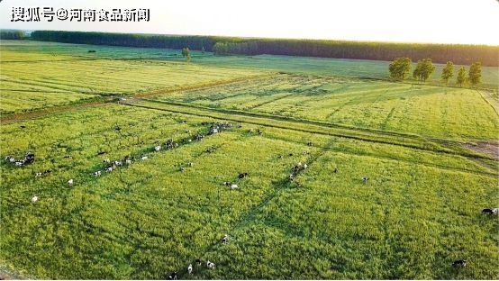 花花牛鲜酪棒上市，入局儿童奶酪市场