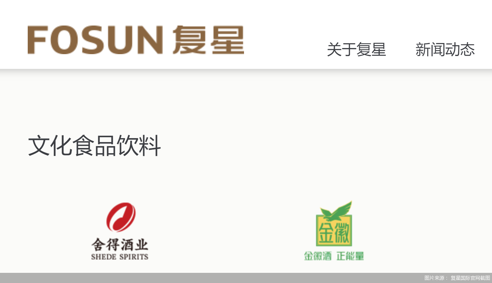 图片来源: 复星国际官网截图