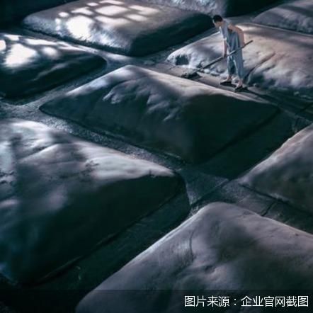 图片来源:企业官网截图