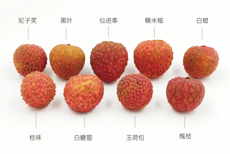 9款荔枝对比测评:玉荷包、黑叶果核大;仙进奉、白糖罂受欢迎