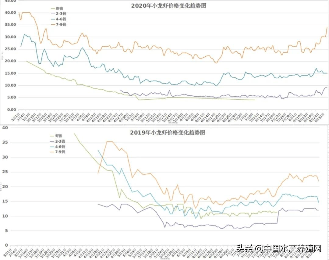 重磅发布:《中国小龙虾产业发展报告(2021)》