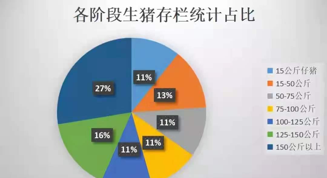 猪肉行情:仔猪加速下跌,专家:别急,拐点将至!