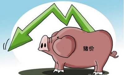 猪肉行情:仔猪加速下跌,专家:别急,拐点将至!
