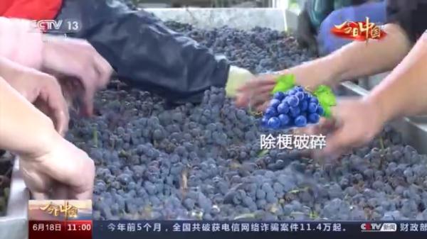 什么是紫色名片?从一杯葡萄酒的奇妙之旅开始→ 什么是紫色名片?从一杯葡萄酒的奇妙之旅开始→