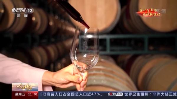 什么是紫色名片?从一杯葡萄酒的奇妙之旅开始→ 什么是紫色名片?从一杯葡萄酒的奇妙之旅开始→