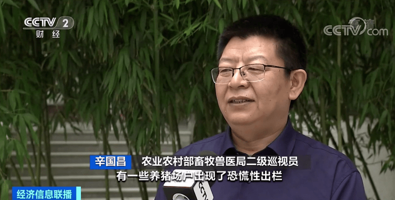 猪肉价格降五成！有养殖户恐慌性出栏，农业农村部重要提醒！