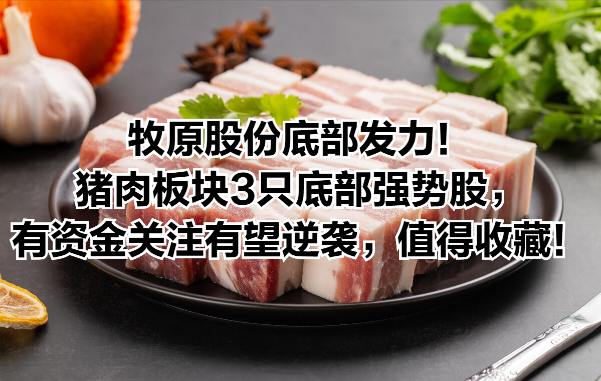 牧原股份底部发力!完整的生猪产业链,竞争优势明显