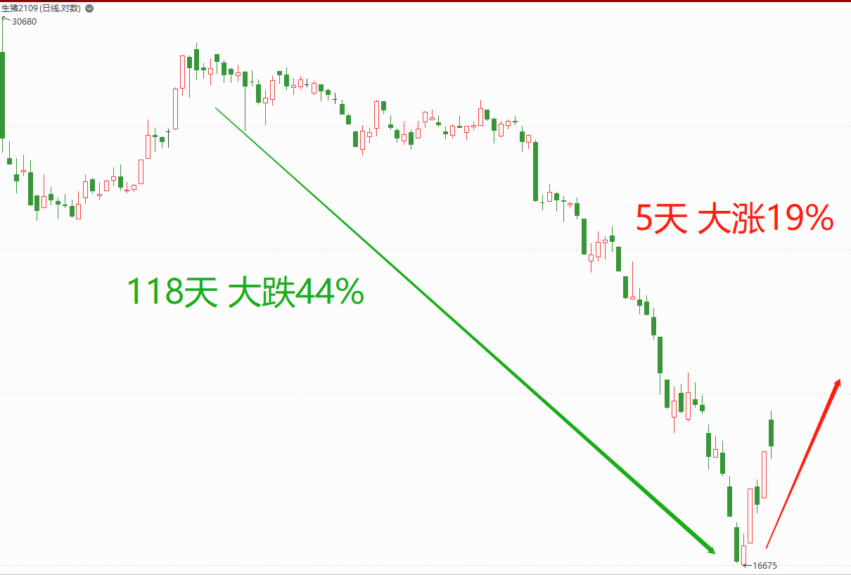 猪肉价格大跌118天后开始暴涨！