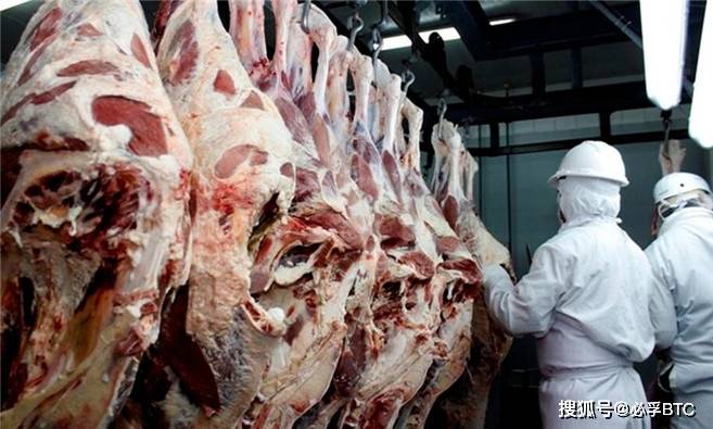 中国市场对哥斯达黎加牛肉仍具潜力