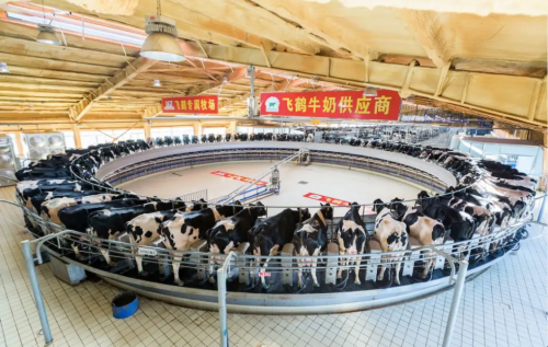 飞鹤冷友斌积极探索乳业数字化发展,提升服务体验