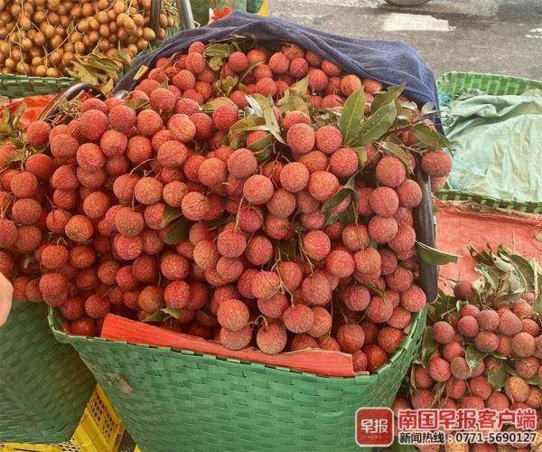每天只能吃10颗？“荔枝病”冲上热搜吓坏吃货！