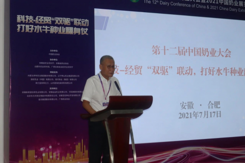 皇氏集团:奶水牛产业开路先锋,助力打好水牛种业翻身仗